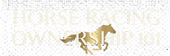 Horse Racing Ownership 101