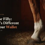 Chestnut racehorse legs on straw bedding; headline Colt or Filly: What's Different for Your Wallet