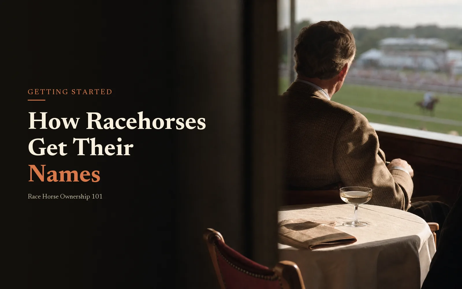 How Do Racehorses Get Their Names? The Jockey Club Rules (and How to Name Yours)
