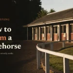 Empty saddling stalls and white walking ring at dawn; headline How to Claim a Racehorse