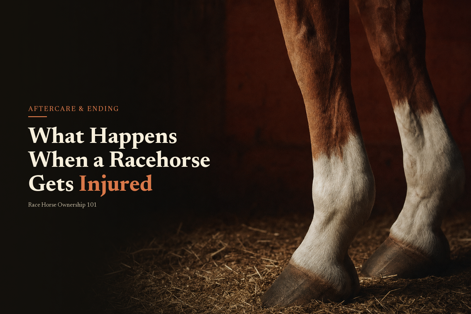 What Happens When A Race Horse Gets Injured?