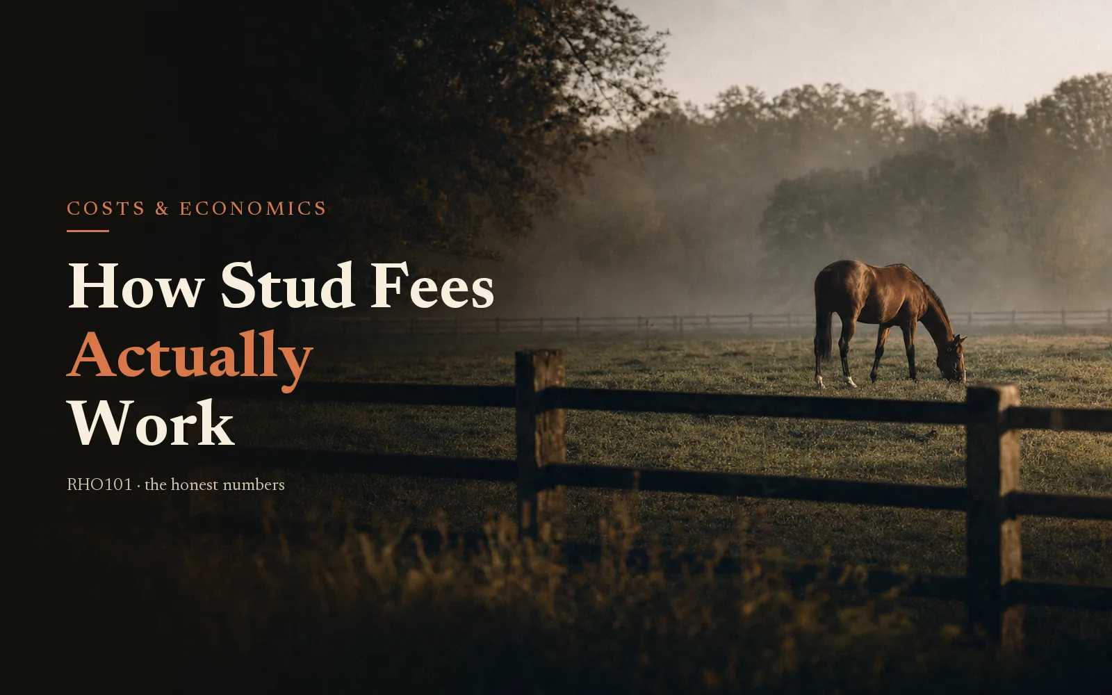 Bay racehorse grazing at dawn behind a pasture fence, headline How Stud Fees Actually Work