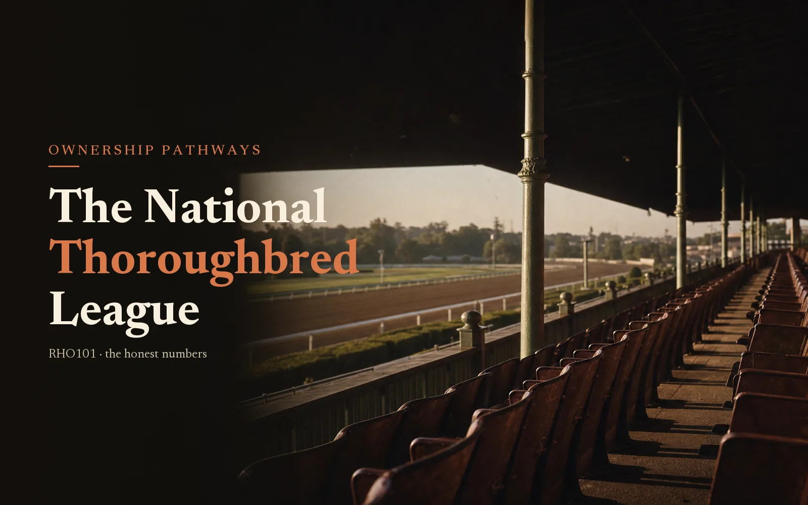 What Is the National Thoroughbred League? A Buyer’s Guide to Team Racing