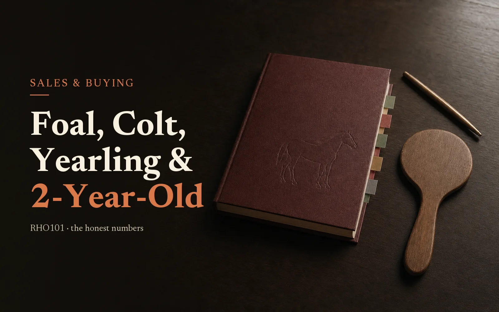 Foal, Colt, Yearling & 2-Year-Old: Racehorse Age Stages Explained for Buyers