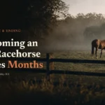 Bay thoroughbred grazing beyond a post-and-rail fence in misty pasture at dawn