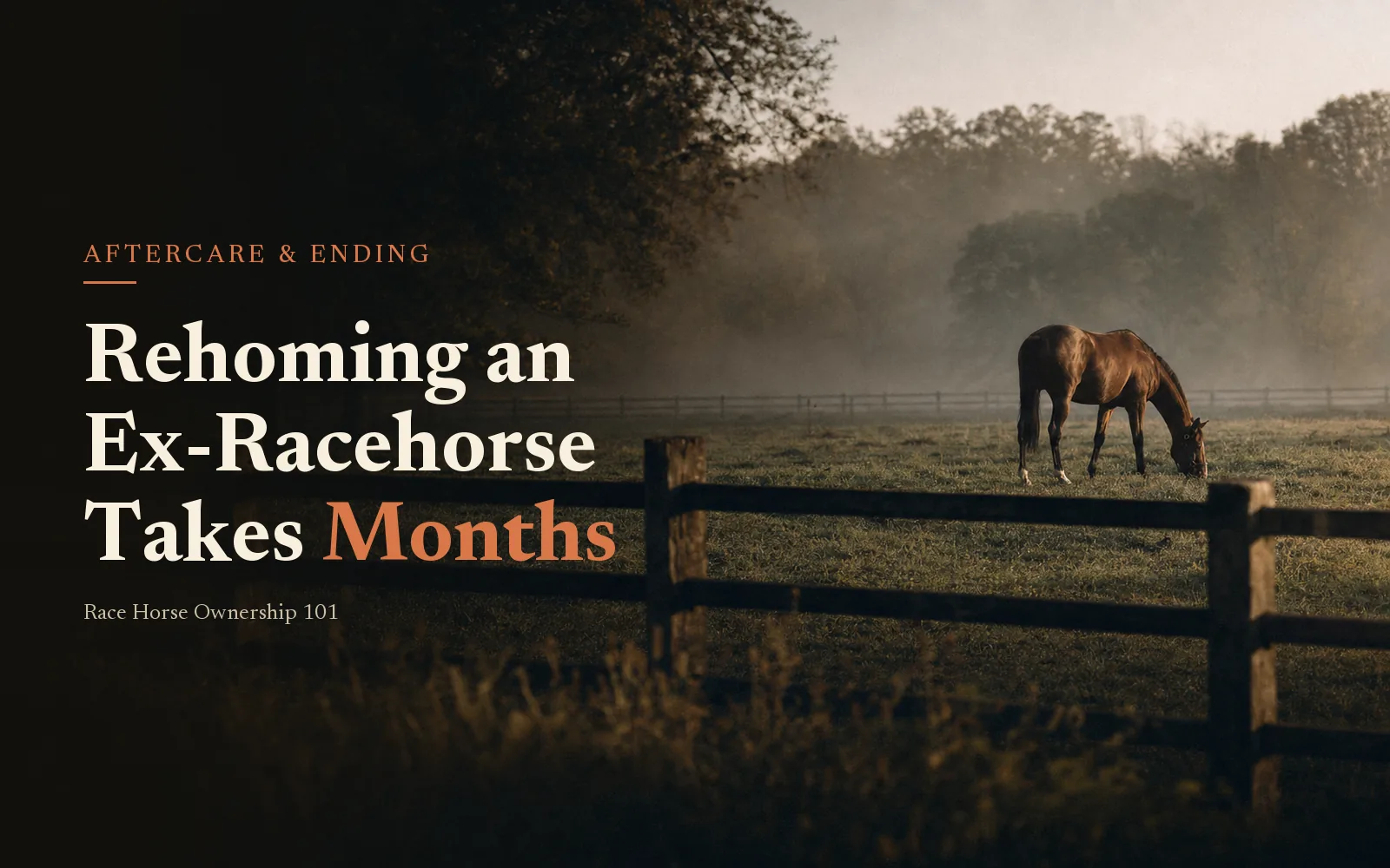 Bay thoroughbred grazing beyond a post-and-rail fence in misty pasture at dawn