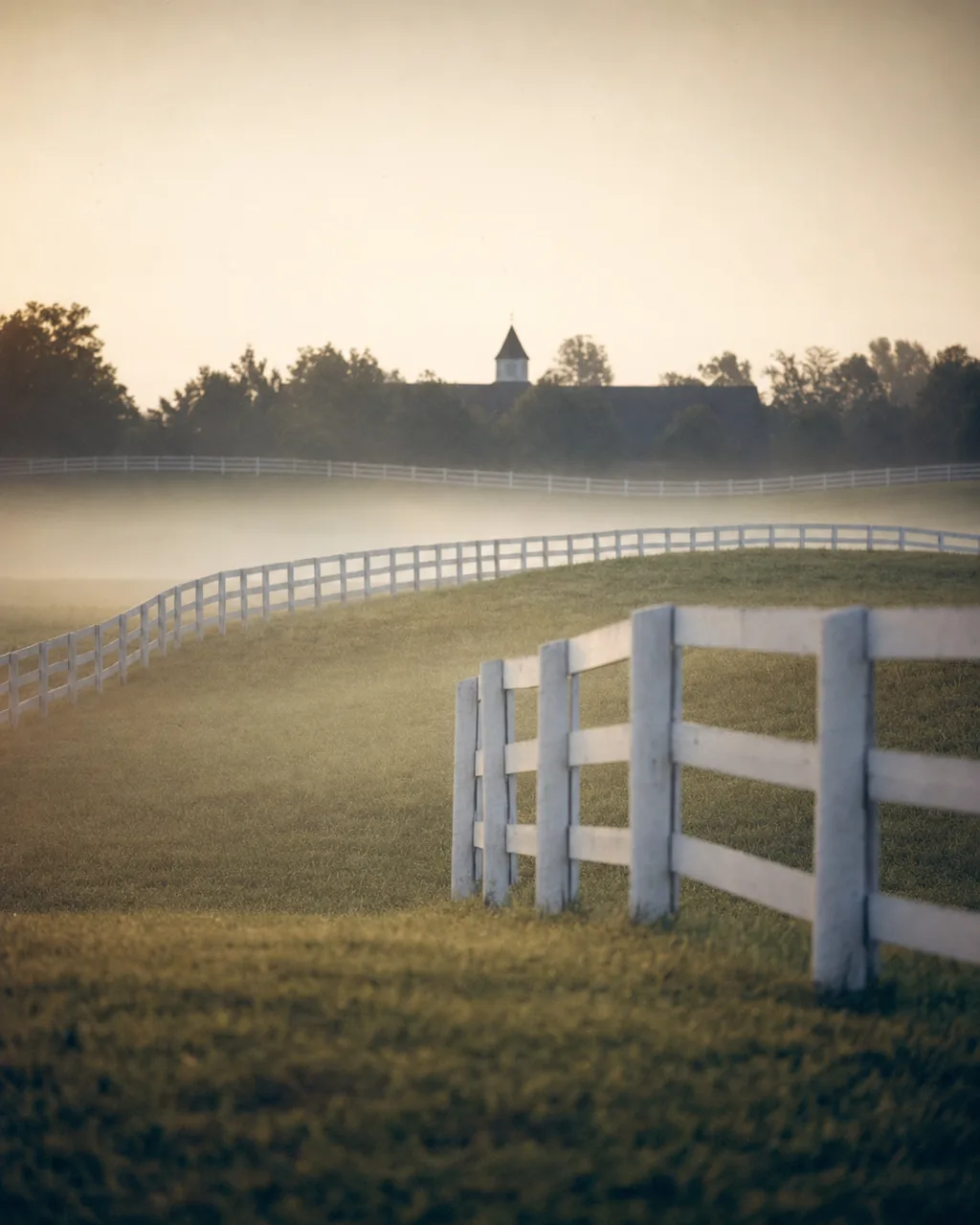 Kentucky breeding farm pasture at dawn with white four-board fencing and a distant barn cupola in mist