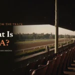 Empty racetrack grandstand at dawn with oxblood seats and the headline What Is HISA?
