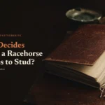 Leather ledger and reading glasses on dark oak under the headline Who Decides When a Racehorse Retires to Stud
