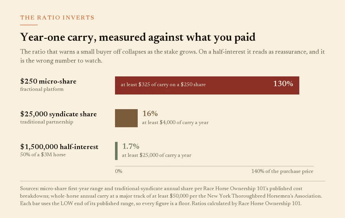 Bar chart of year-one carry as a share of price: 130% on a $250 micro-share, 16% at $25,000, 1.7% at $1.5M