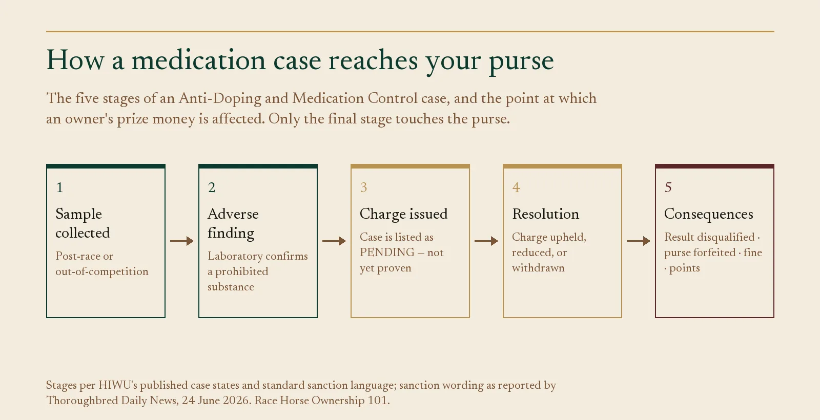 Flow diagram of the five stages of a HIWU medication case, ending in purse forfeiture