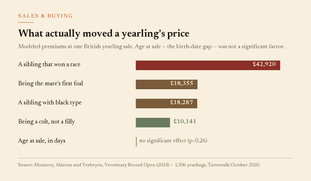 Bar chart of yearling price factors, sibling race winner highest, age at sale not significant