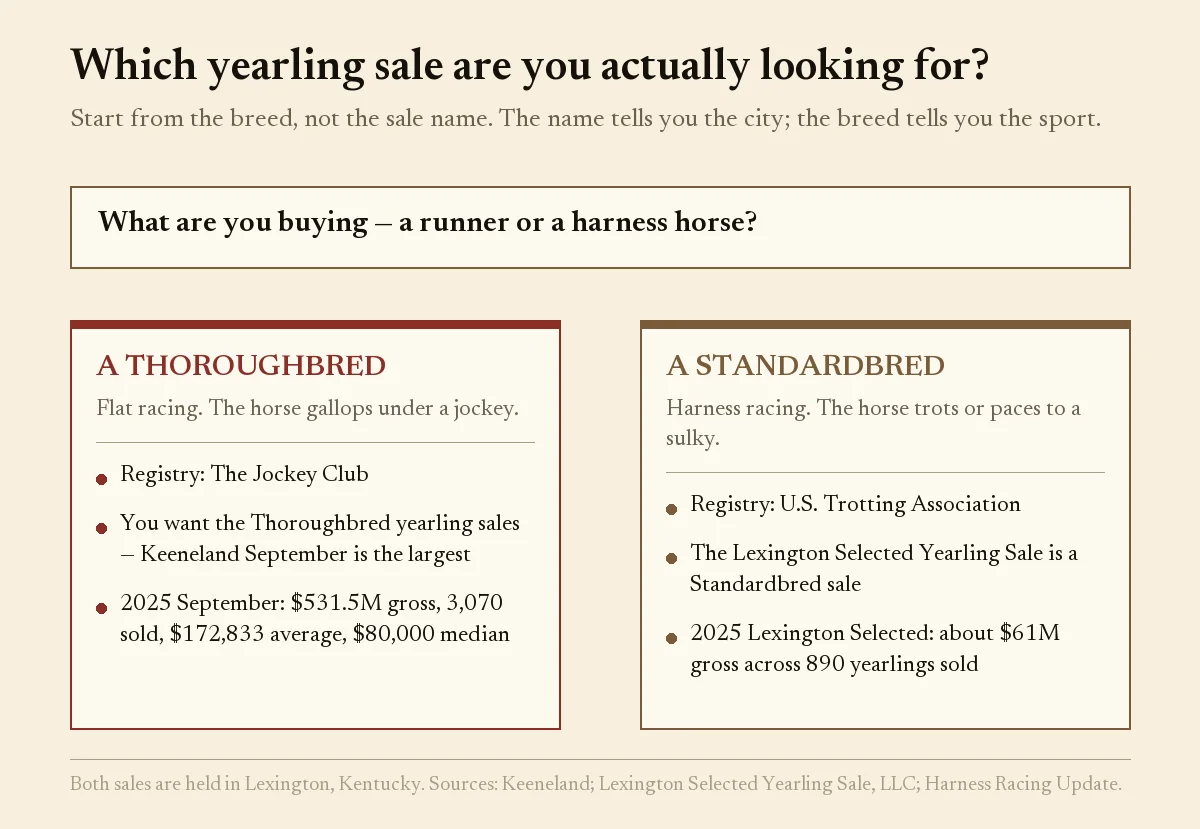 Decision chart splitting Thoroughbred from Standardbred yearling sales by breed registry and 2025 results