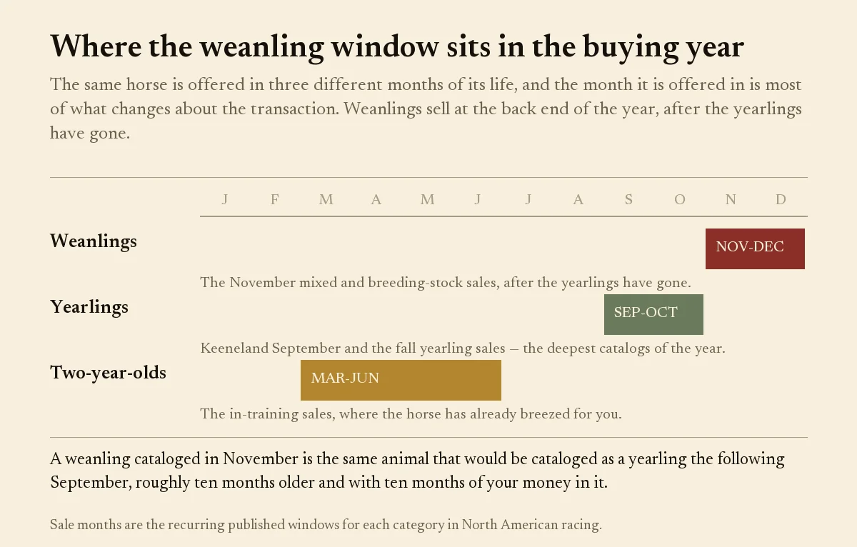 Calendar band showing weanling sales in November, yearling sales in September and two-year-old sales in spring