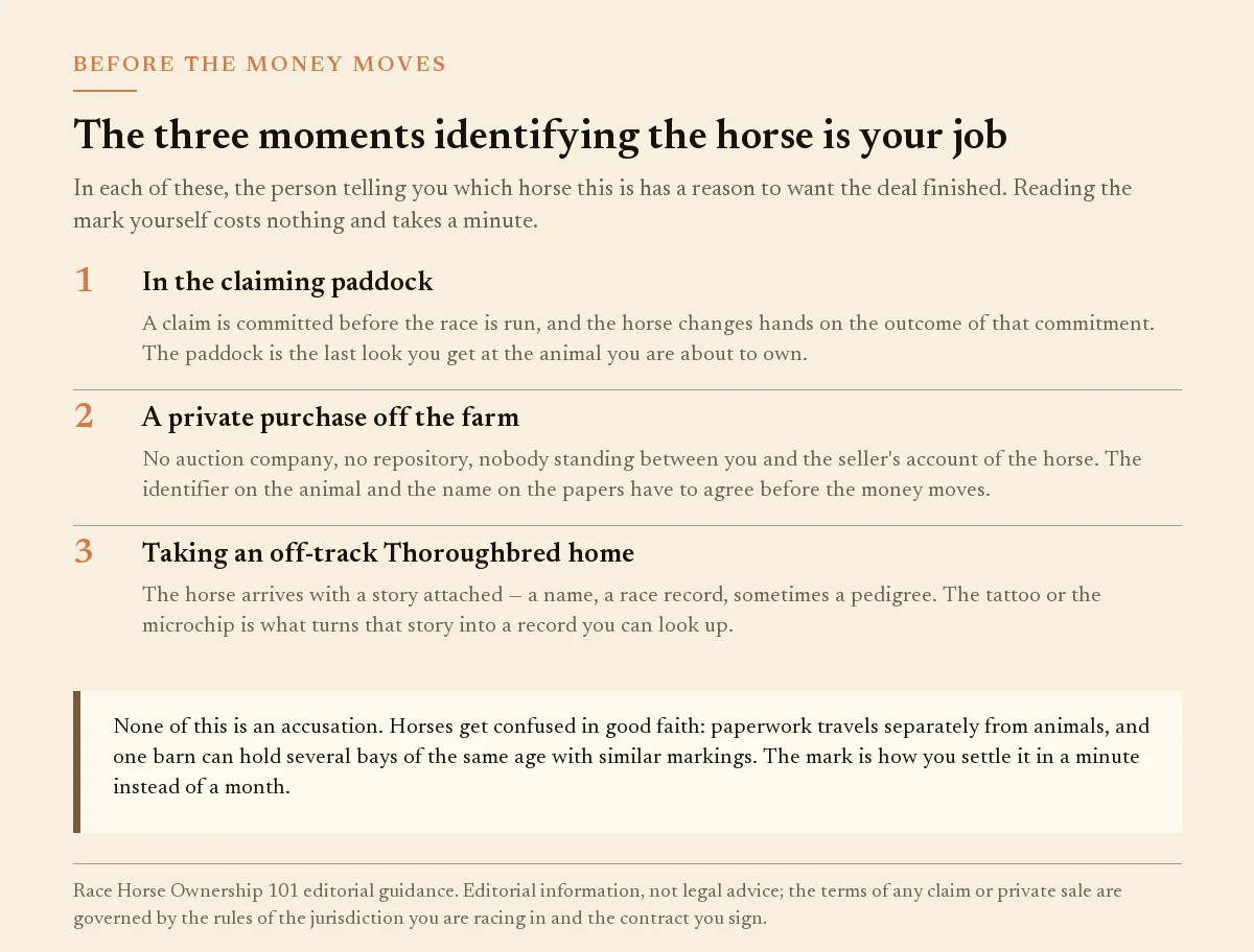 Panel listing three moments an owner identifies a horse: claiming paddock, private purchase, OTTB intake