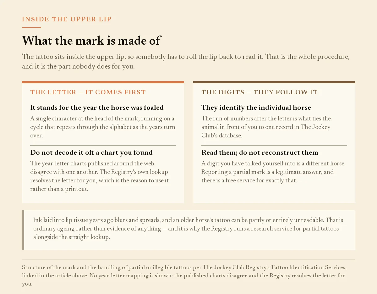 Panel explaining a lip tattoo: a letter for the foaling year followed by digits identifying the horse